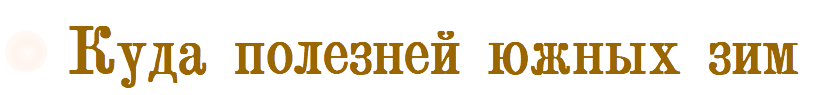 Куда полезней южных зим